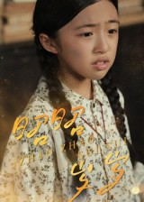 昭昭岁岁(30集) 昭昭岁岁(30集)在哪看是免费的