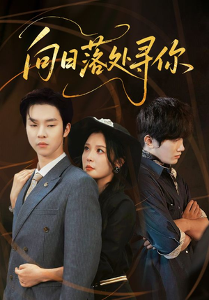 向日落处寻你（70集）最新上映免费看