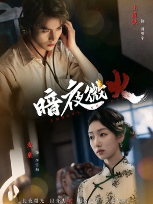 暗夜微火(80集 暗夜微火(80集最新上映免费看