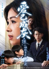 爱已成灰陈小姐放手不再回头（30集）好看吗