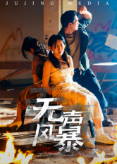无声风暴（33集）短剧热门合集