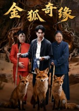 金狐奇缘(42集) 金狐奇缘(42集)番茄短剧看全集