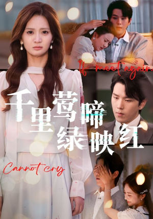 千里莺啼绿映红（63集）热门短剧看不停