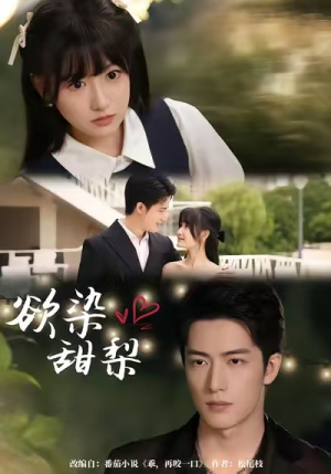 欲染甜梨（63集）精彩短剧后续