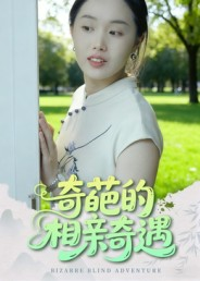 奇葩的相亲奇遇（17集）精彩热门短剧