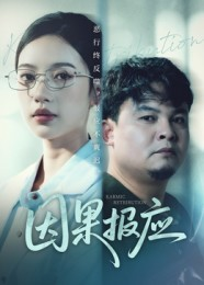 因果报应(30集) 因果报应(30集)好看到停不下来