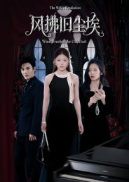风拂旧尘埃（70集）全集完整版
