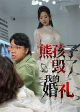 熊孩子毁了我的婚礼（36集）追短剧看全集