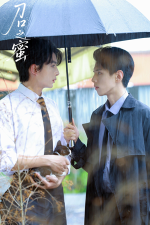 刀口之蜜（46集）演的怎么样