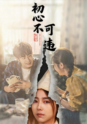 初心不可违（62集）火爆短剧热播中