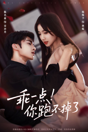 乖一点！你跑不掉了（80集）百度网盘在线看