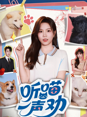 听喵一声劝（60集）1-102集
