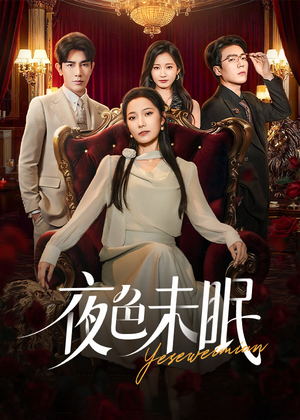 夜色未眠(60集) 夜色未眠(60集)第三季