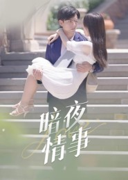 暗夜情事（100集）热播短剧免费看
