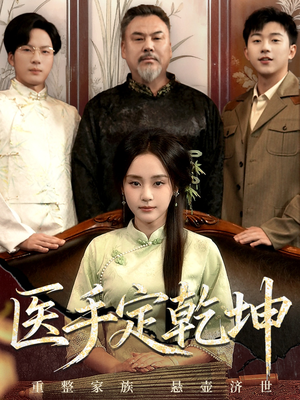 医手定乾坤（62集）经典老剧免费看