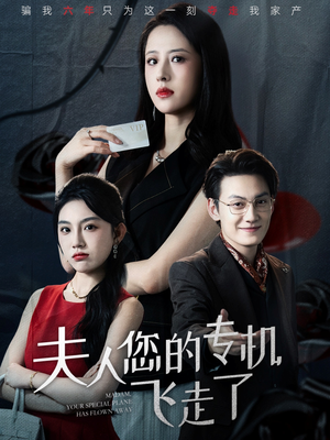 夫人您的专机飞走了(62集) 夫人您的专机飞走了(62集)免费看全集