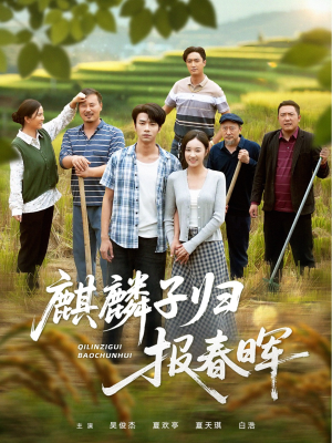 麒麟子归报春晖（36集）360网盘观看