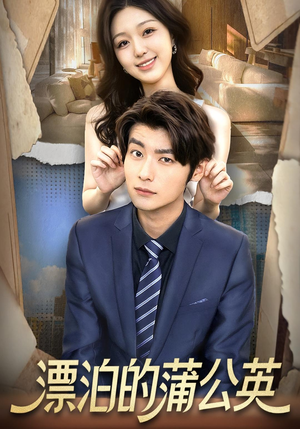 漂泊的蒲公英（60集）一口气看完全集