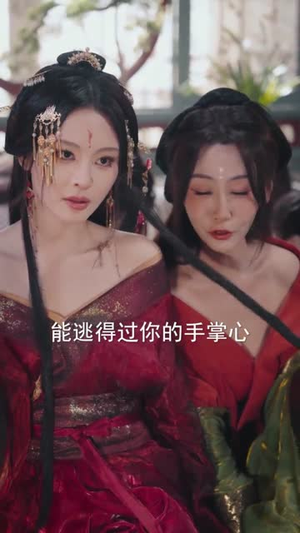 春娘子（60集）短剧在线更新