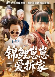 锦鲤崽崽爱拆家（80集）追短剧关注我