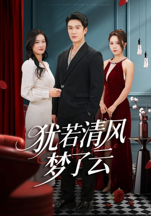 犹若清风梦了云（66集）在线观看完整版
