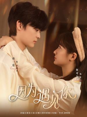 因为遇见你（79集）全集下载