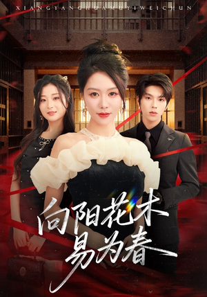 新：向阳花木易为春（72集）追短剧看全集