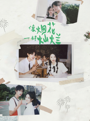 像烟花一样灿烂(60集) 像烟花一样灿烂(60集)演的怎么样