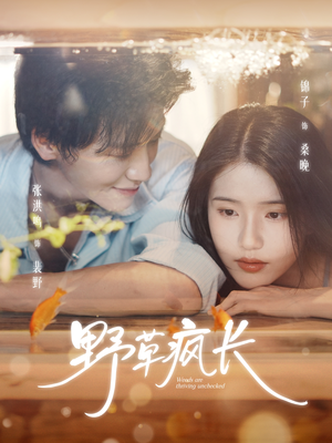 野草疯长（71集）口碑爆棚免费看