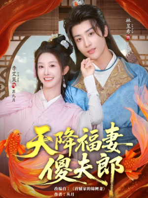 天降福妻傻夫郎（85集）推荐你们也去看