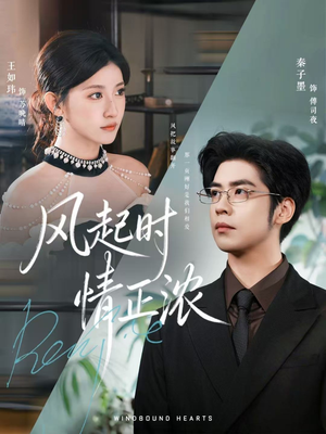 风起时情正浓(79集) 风起时情正浓(79集)高清画质免费看