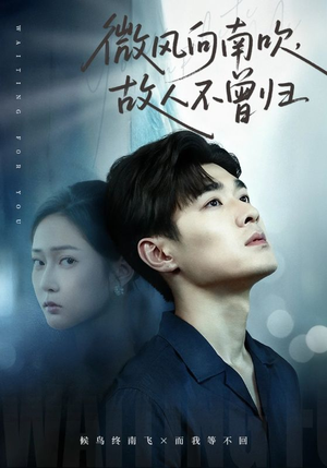 微风向南吹，故人不曾归（72集）短剧太好看了