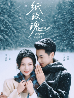 纸玫瑰第二部（80集）火爆短剧热播中