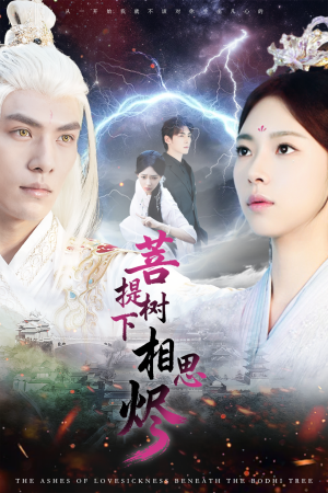 菩提树下相思烬（63集）热门短剧榜单