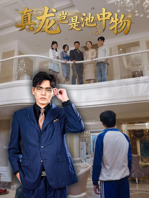 真龙岂是池中物（80集）短剧推荐上热门