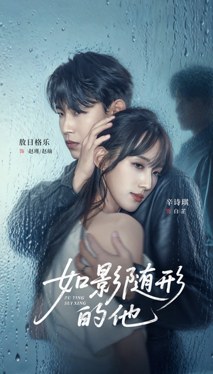 如影随形的他(30集) 如影随形的他(30集)直接看到大结局