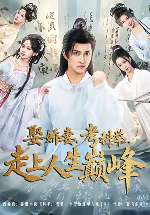 娶娇妻，考科举，走上人生巅峰（80集）全集一次看完
