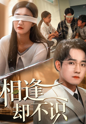 相逢却不识（77集）百度网盘资源