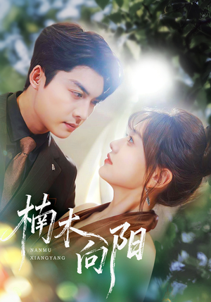 楠木向阳（70集）免费在线看全集