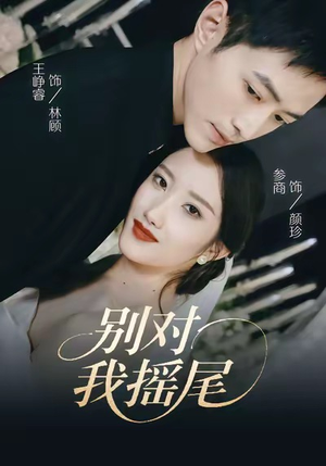 别对我摇尾（59集）最新上映免费看