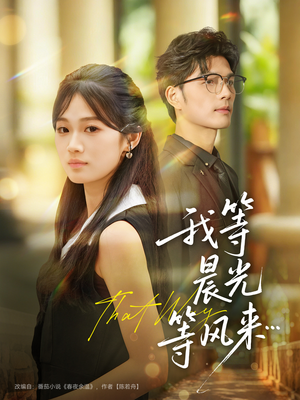 我等晨光等风来（70集）番茄免费短剧