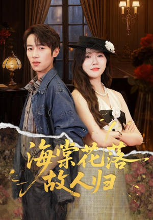海棠花落故人归（78集）全集一网打尽