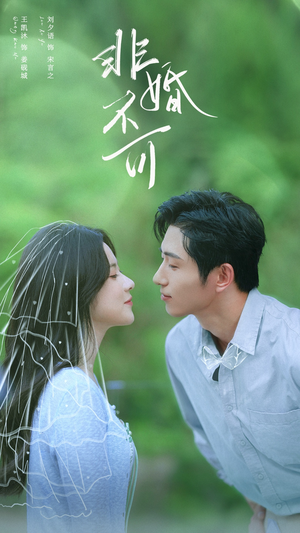 非婚不可（65集）免费短剧全集看