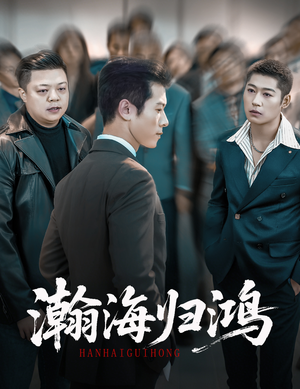 瀚海归鸿（74集）免费看短剧全集