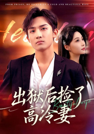 出狱后捡了高冷妻（71集）让你一口气看完