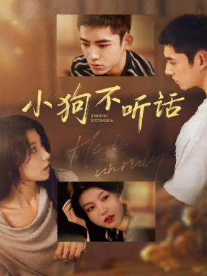 小狗不听话（70集）看到大结局