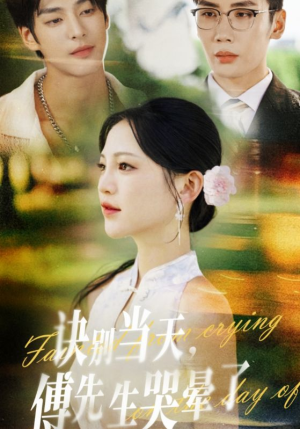 诀别当天傅先生哭晕了（62集）无需充值尽情看