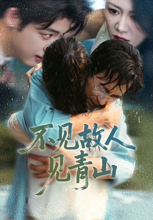不见故人见青山（91集）热门短剧追不停
