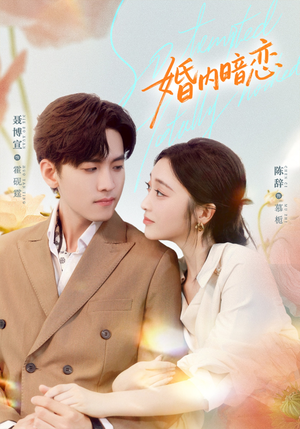 婚内暗恋（80集）精彩热门短剧