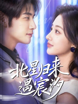 北星归来遇宸汐（60集）在线免费观影